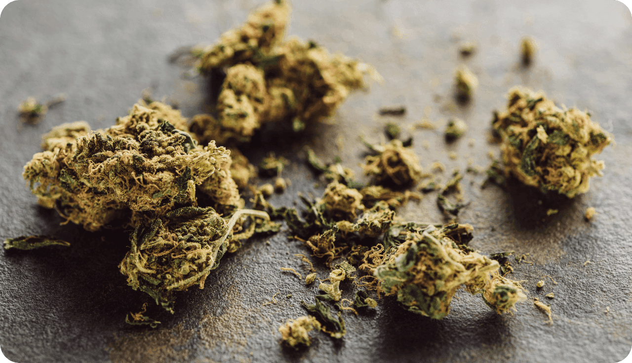 Detailaufnahme Cannabisblüten
